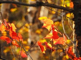 DSCN3867.JPG