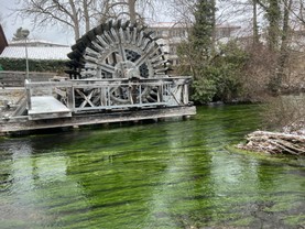 IMG_3136.JPG